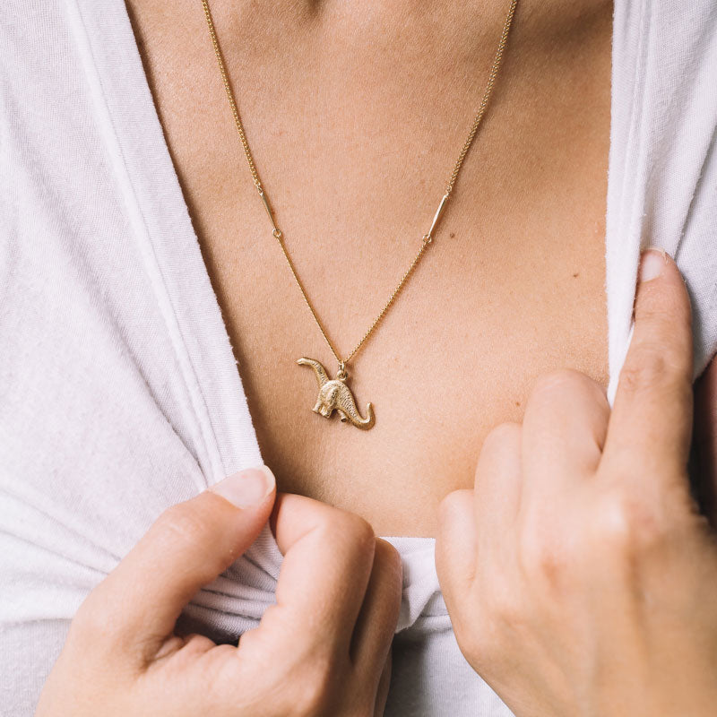 Dinosaur Charm Necklace (SD1301)